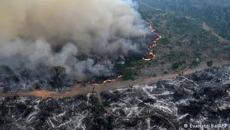 EU einig: Waldschutzgesetz wird abgeschwächt
