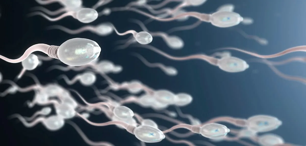 Übung macht den Vater