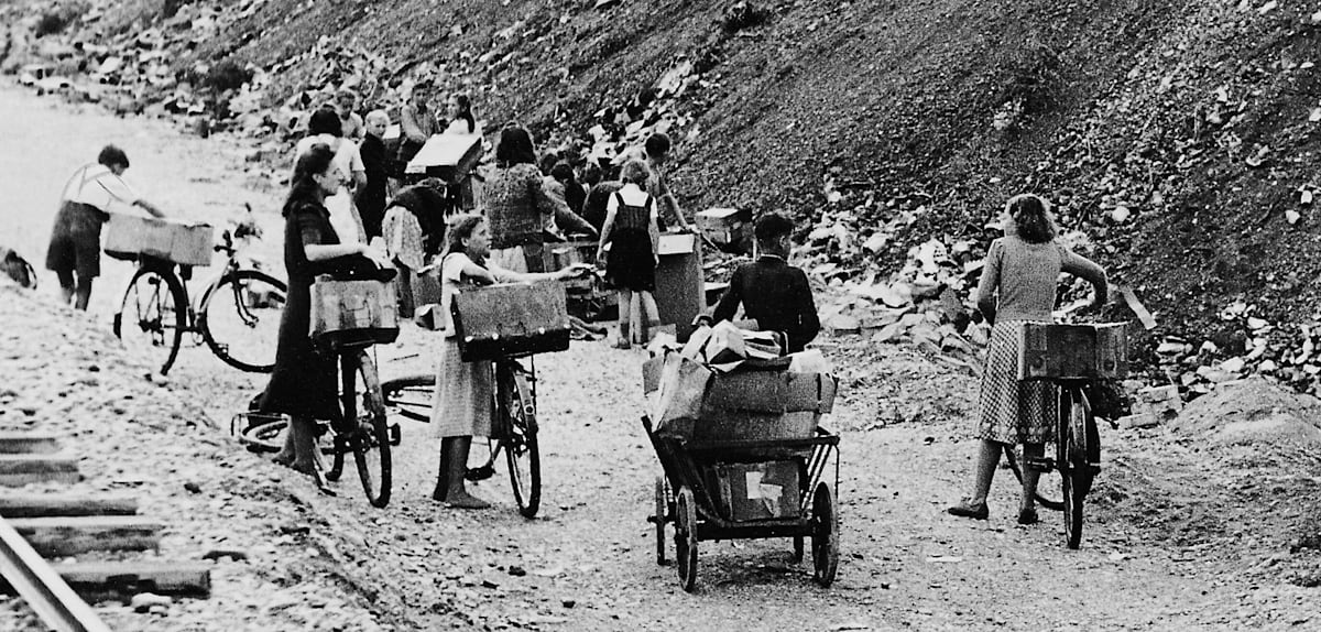 „Kaum ein Lebewesen, das man im Nachkriegsdeutschland weniger wollte“