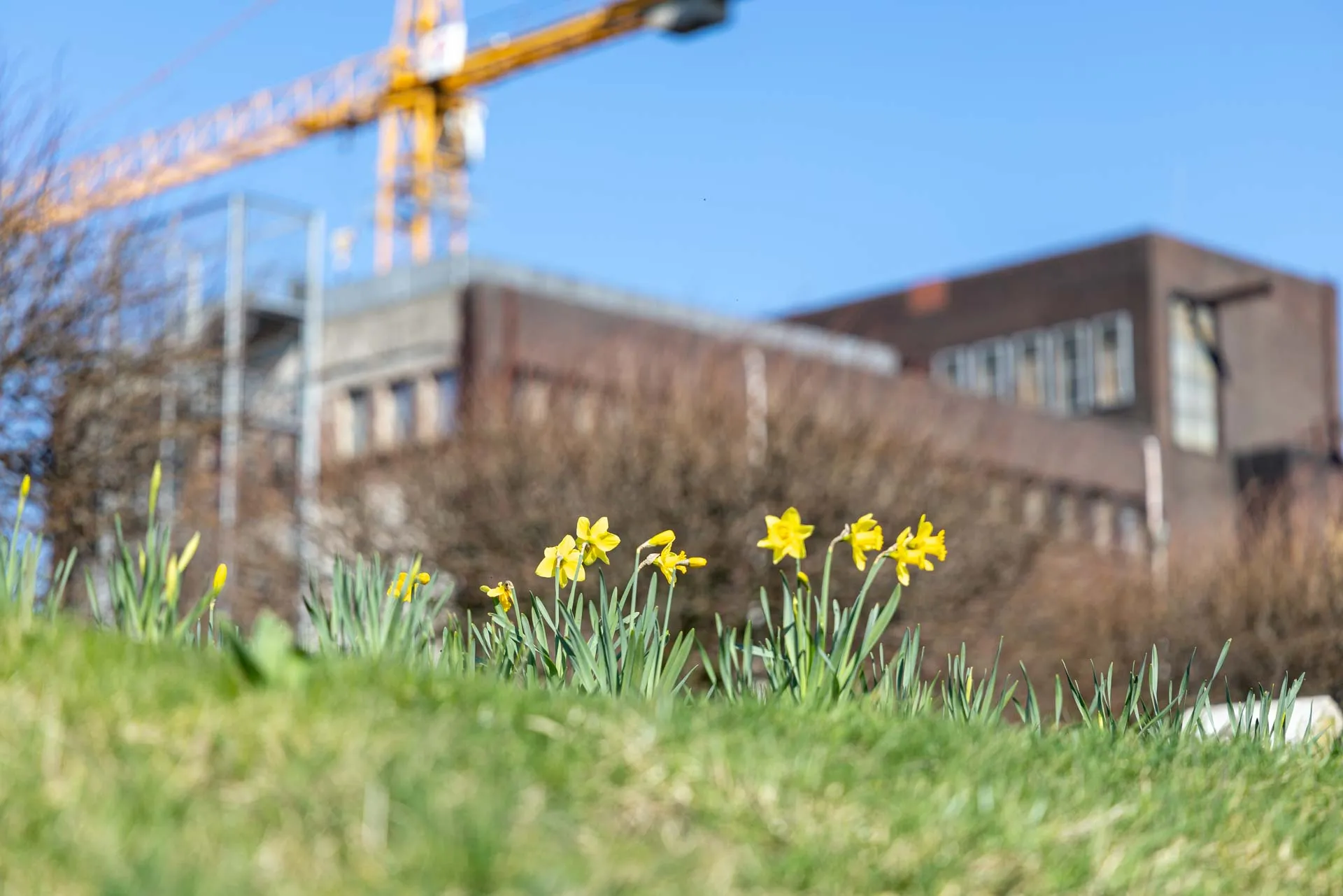 Internationale Gartenausstel-lung (IGA) Ruhrgebiet 2027 – Ideen für den eigenen Stadtteil einbringen - Einladung zur Online-Infoveranstaltung am Donnerstag, 2. April