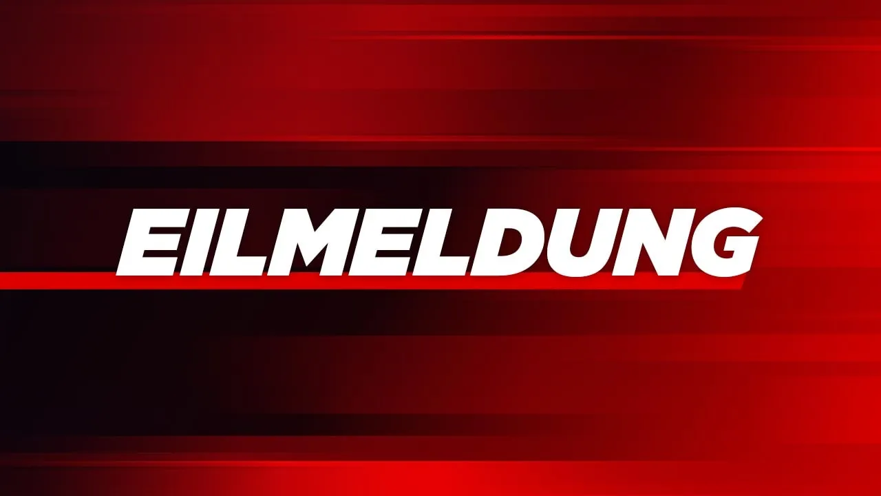 Er ist wieder in der Wismarer Bucht - BILD-Reporter entdeckt Wal