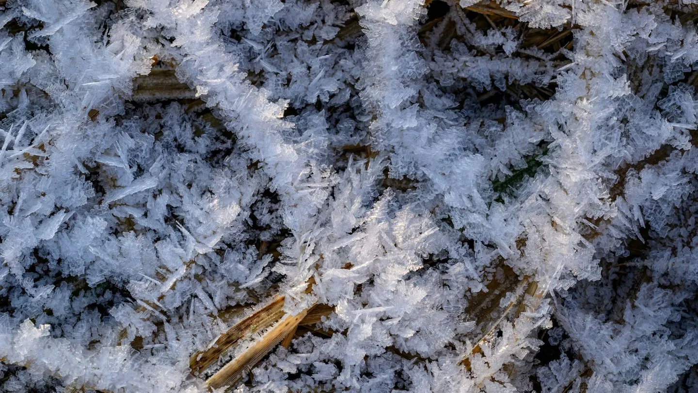 Wetter: Frost hält in Berlin und Brandenburg bis zum Wochenende an