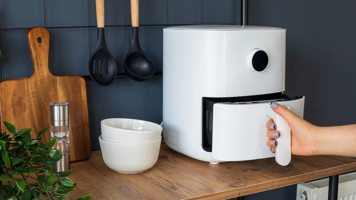 Käse, Gemüse, Fleisch: Das darf nicht in den Airfryer
