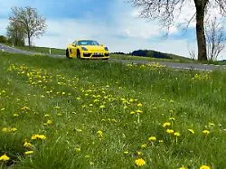 Verkehrssünder fahren Oberklasse: Porsche-Fahrer haben die meisten Punkte in Flensburg