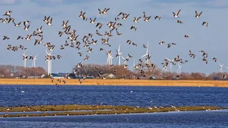 Nachfolger von Windows: Staatskanzlei Kiel stellt auf Linux um