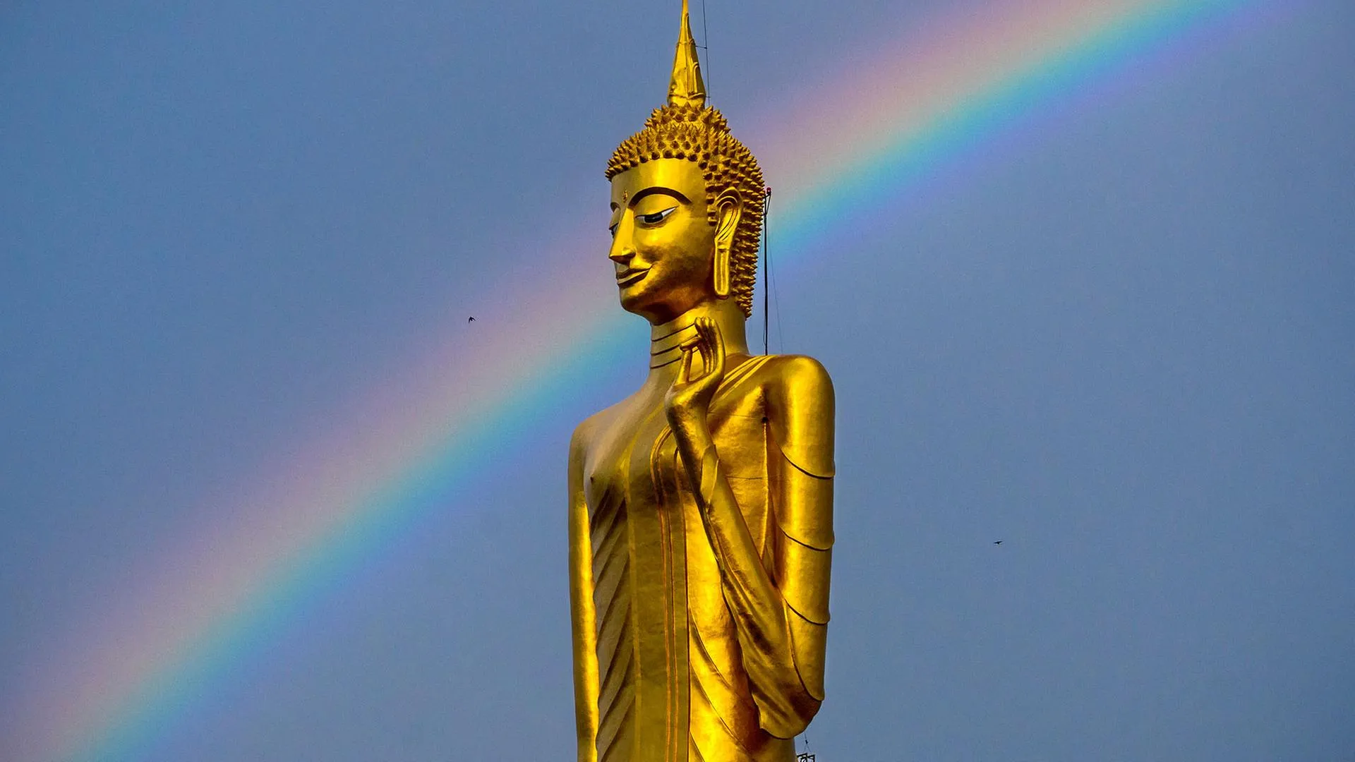 Buddhistische Gruppen: Manipulation in Buddhas Namen?