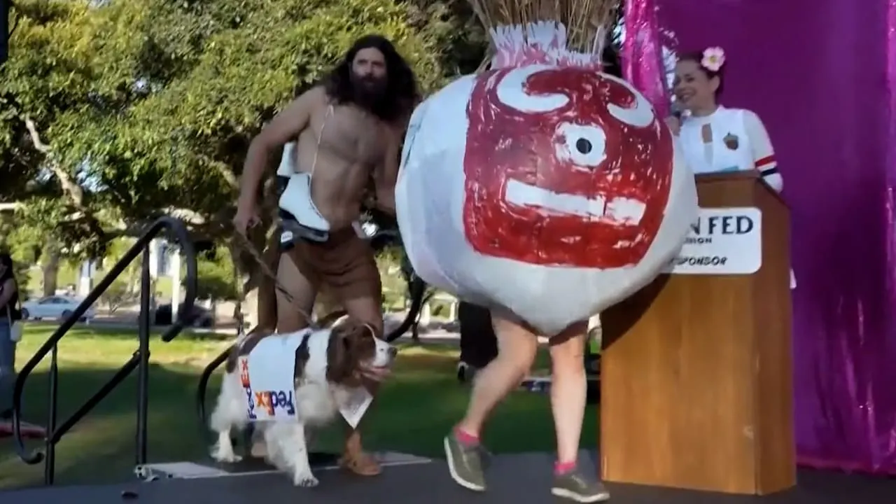 Muss das sein? - Bizarre Hunde-Show in Kalifornien