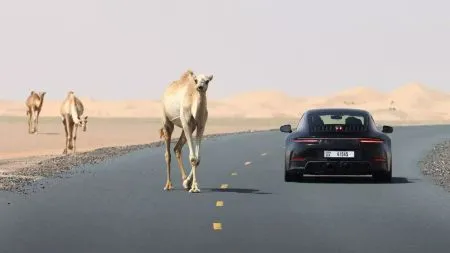 Porsche streicht bis zu 9000 Stellen, viele auch am Traditionsstandort Weissach