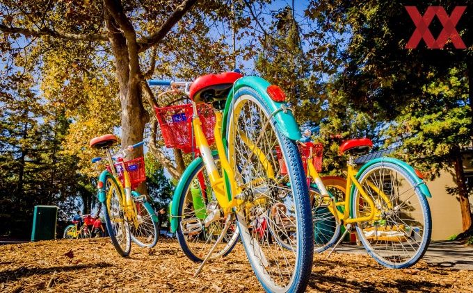 Quartalszahlen: Alphabet verdoppelt KI-Investitionen auf 44,9 Milliarden US-Dollar